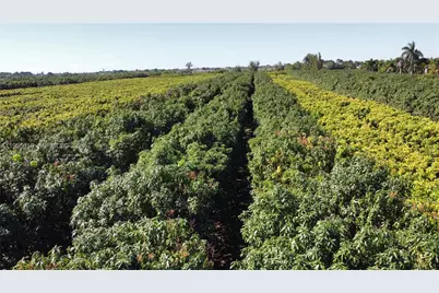 22020 SW 207th Ave, Miami, FL 33170 - Photo 27