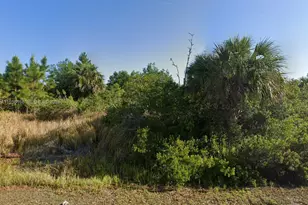 429 Ganley St, Palm Bay, FL 32908 - Photo 1