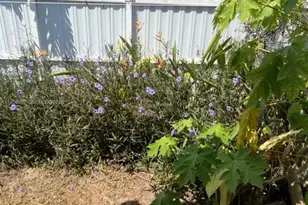 3667 NW 5th St, Miami, FL 33125 - Photo 5