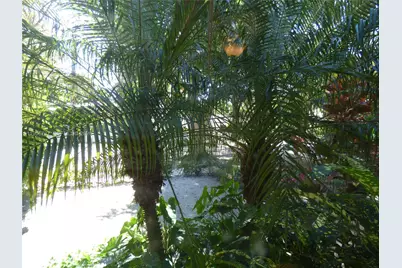 409 Marmore Ave, Coral Gables, FL 33146 - Photo 17