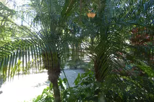 409 Marmore Ave, Coral Gables, FL 33146 - Photo 17