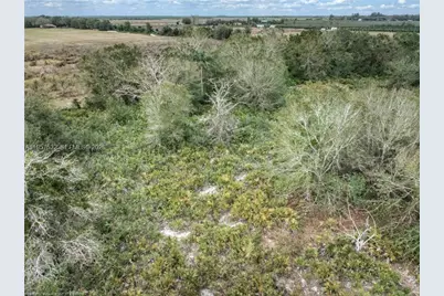 701 Jolly Lane, Lorida, FL 33857 - Photo 9