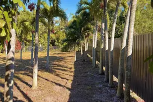 11741 NE 13th Ave, Miami, FL 33161 - Photo 3