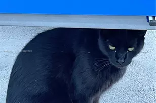 4910 NW 79th Ave, Doral, FL 33166 - Photo 49