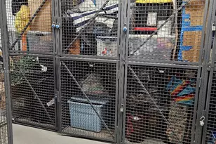 2029 N Ocean Blvd, Fort Lauderdale, FL 33305 - Photo 31