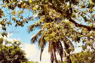 4089 NW 87th Ave, Sunrise, FL 33351 - Photo 11