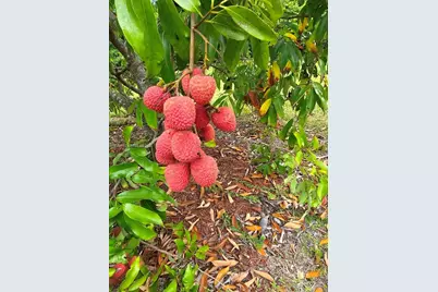 20520 SW 190th St, Miami, FL 33187 - Photo 43