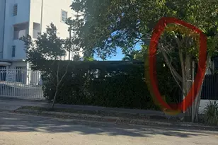 7801 NE 4th Ct, Miami, FL 33138 - Photo 11