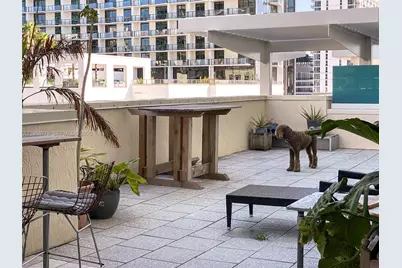 3250 NE 1st Ave #517, Miami, FL 33137 - Photo 21