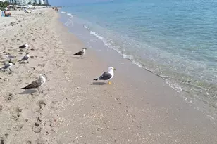 2030 S Ocean Dr, Hallandale Beach, FL 33009 - Photo 9