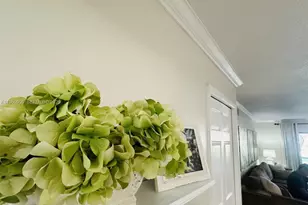 437 Lakeview Dr, Weston, FL 33326 - Photo 15