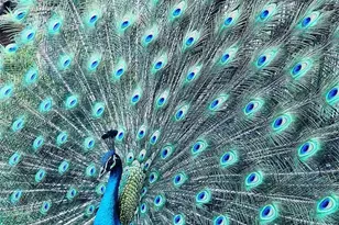 2485 Inagua Ave, Miami, FL 33133 - Photo 11