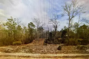 00 Hudson St, Palatka, FL 32148 - Photo 1