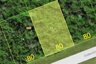 19876 Kenilworth Blvd, Port Charlotte, FL 33954 - Photo 1