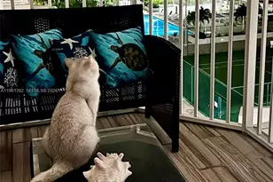 18051 Biscayne Blvd, Aventura, FL 33160 - Photo 25