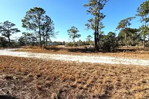 547 Branchwood Ave, Lake Placid, FL 33852 - Photo 1