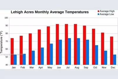 1704 Fitch, Lehigh Acres, FL 33972 - Photo 3