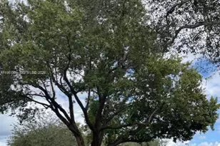 2900 SE 17th Ave, Homestead, FL 33035 - Photo 15