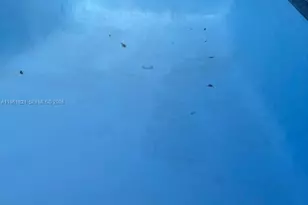 9905 Marlin Rd, Cutler Bay, FL 33157 - Photo 5