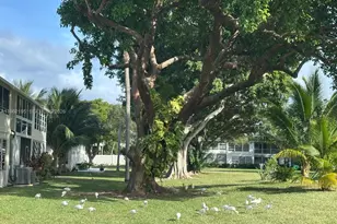 162 Westbury J, Deerfield Beach, FL 33442 - Photo 13