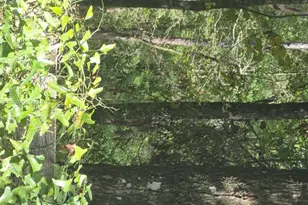 2390 NW 65th Ave, Other City - In The State Of Florida, FL 32619 - Photo 9