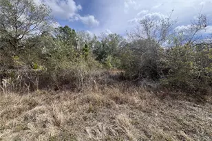 1913 Roderick Ln, Lehigh Acres, FL 33972 - Photo 7