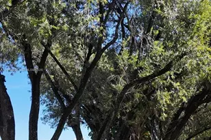 177 Lakeview Dr, Weston, FL 33326 - Photo 7