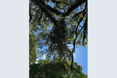 16330 NE 5th Ave, Miami, FL 33162 - Photo 9