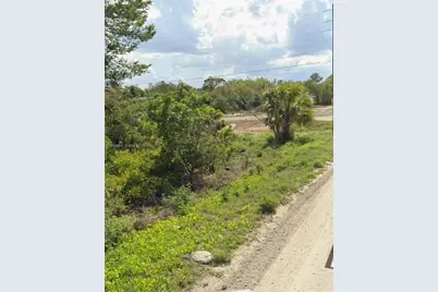 425 Fawnwood, Lake Placid, FL 33852 - Photo 3