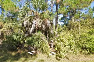 26224 Deer Rd, Punta Gorda, FL 33955 - Photo 1