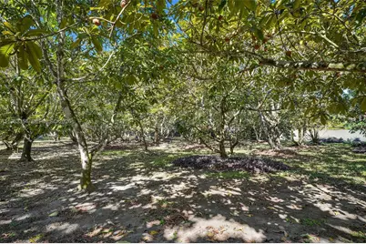 19955 SW 186th St, Miami, FL 33187 - Photo 13