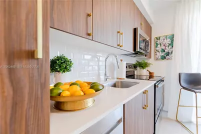 1005 Spring Garden Rd #PH 843, Miami, FL 33136 - Photo 11