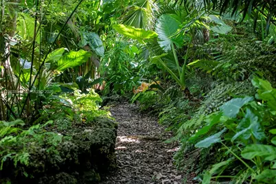 4895 SW 88th St, Miami, FL 33156 - Photo 17