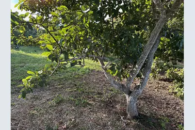 26840 SW 167th Ave, Homestead, FL 33031 - Photo 9