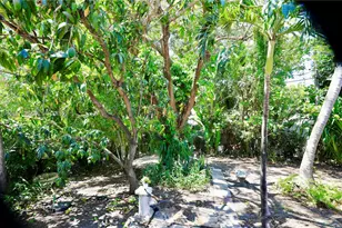 655 NE 82nd St, Miami, FL 33138 - Photo 15