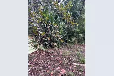 655 NE 82nd St, Miami, FL 33138 - Photo 11