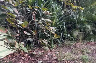 655 NE 82nd St, Miami, FL 33138 - Photo 11