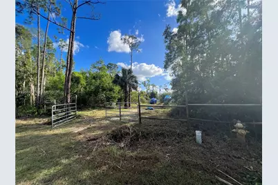 3050 Pine Tree Dr, Naples, FL 34112 - Photo 17