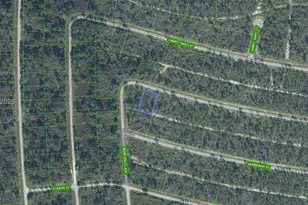 8049 Altara St, Sebring, FL 33872 - Photo 1