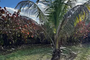 36 NW 151st St, Miami, FL 33169 - Photo 9