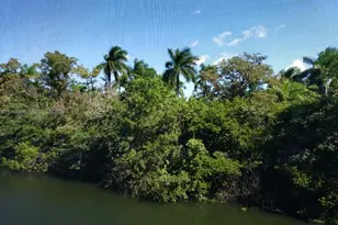 116 Royal Pk Dr, Oakland Park, FL 33309 - Photo 1