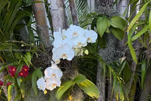 1737 SW 10th St, Miami, FL 33135 - Photo 47