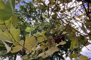 3740 W 5th Ct, Hialeah, FL 33012 - Photo 15