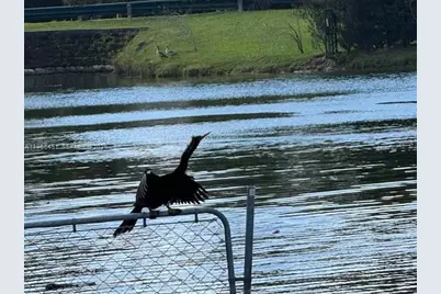 11820 SW 69th Ct, Pinecrest, FL 33156 - Photo 15