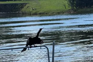 11820 SW 69th Ct, Pinecrest, FL 33156 - Photo 1