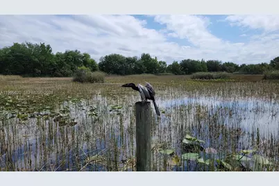 935 NW 203rd Ave, Pembroke Pines, FL 33029 - Photo 31