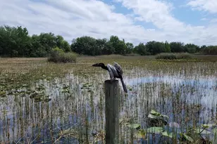 935 NW 203rd Ave, Pembroke Pines, FL 33029 - Photo 31