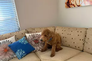 6180 Kings Gate Cir, Delray Beach, FL 33484 - Photo 1