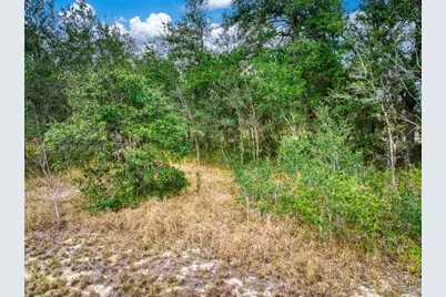 2713 W Hasbrouck Road, Avon Park, FL 33825 - Photo 11