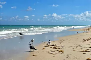 10175 Collins Ave, Bal Harbour, FL 33154 - Photo 17